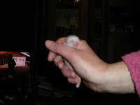 IMGP0803.jpg