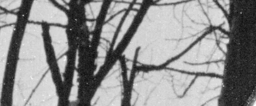 Untitled-6.jpg