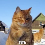 65dc5c90fed25d58f8.jpg