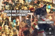 e7876ea30d03401e9e.jpg