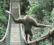 37fc7e9ecba49c4499a12b42.gif