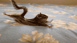51719d11fa809a910e14dd7.gif