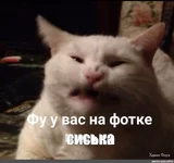 38d2c917c1597fb6a355f26.jpg