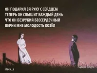 7319eb21e3b2bdd7d7.webp