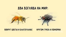ac33eb61e22326f27101245d.jpg