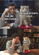 2022-01-15-mixnews-alko27.webp
