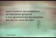 f2dfb2cace51ff9958.jpg