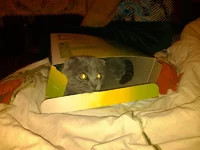 2012-02-21 2.webp