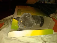 2012-02-211.webp
