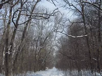  дорога.webp