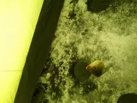 23022012052.webp