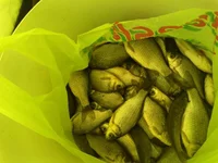 23022012053.webp