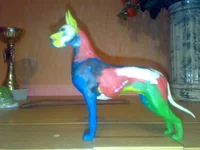 23022010990.webp
