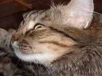 DSCN1926.webp