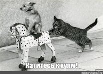 1fab8eed1cdbf7c566c98c0.jpg