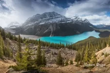 18e6f1707ecfb1d65b770.webp