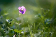 1db3d3cd4fcf54e0e57f08.webp