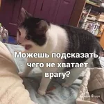 a4279c5c1ab41bcda04a.webp