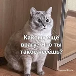 31c46734b05a68a7c8.webp