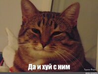 26262a4d7e87c0e3ccf9.jpg