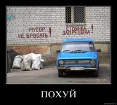 621.webp