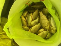 25022012058.jpg