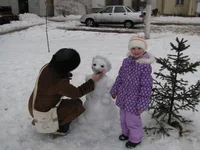 IMG_31611.jpg