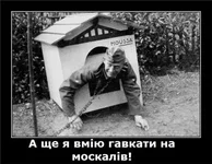 6f7ab8674cb1.jpg