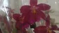 img--i-301956-w-120[1].webp