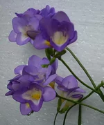  26-02-01.webp