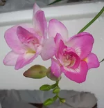  26-02-02.webp