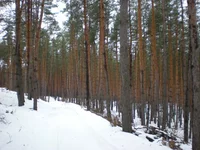 DSCN7608.jpg