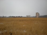 DSCN7627.jpg