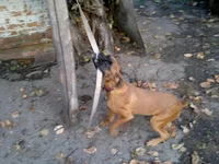 x_ab9b435e.webp
