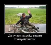 1293544166.webp