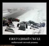 1300561604_neit6uu7h0lh.webp