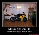 96251681310331017.webp