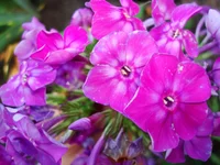 3.webp