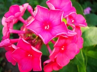 4.webp