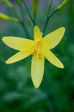 DSC00012-2-2.webp