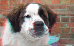 DSCF9007a.webp