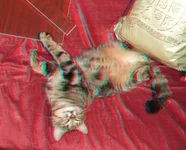 DSCF9228.webp