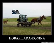 x_51210c38.webp