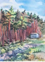  стен 052 - копия.webp