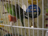 IMG_1749.webp