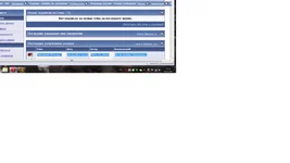 4.webp