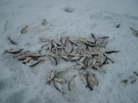 P2280170.webp