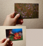 Untitled-1.gif
