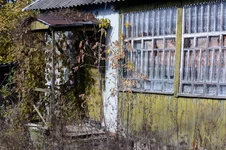 20.webp