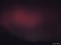 IMG_20231105_191616.jpg